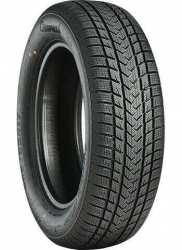 GRIPMAX SUREGRIP EWINTER XL 205/65R17 100V