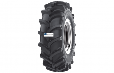 ASCENSO TDB121 5.00-12 6PR TT