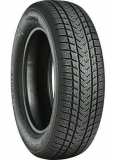 GRIPMAX SUREGRIP EWINTER XL 205/65R17 100V
