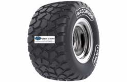 ASCENSO FTR176 560/60R22.5 170D