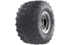 ASCENSO SPR250 480/45R17 137D STEEL BELT TL